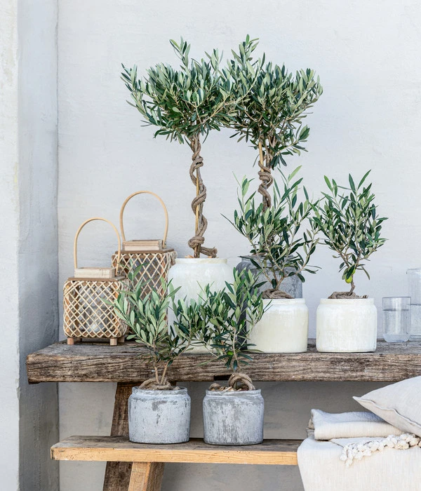 Olive, Stamm, In Keramik, Ca. Ø17/H90 Cm 2 Olive, Stamm, In Keramik, Ca. Ø17/H90 Cm – Bild 2