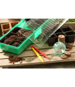 Dehner Zimmergewächshaus Frans, 54 X 15 X 12 Cm -Gartenladen Im Freien 207456 BildM 002 RombergZimmergewaechshausFransFensterbGewH54X15x12