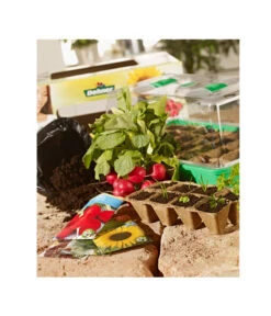 Dehner Zimmergewächshaus Komplett-Set, 38 X 24 X 18 Cm -Gartenladen Im Freien 242305 BildM 001 DehnerZimmergewaechshausKomplettSetZimmergewaechshausKompl