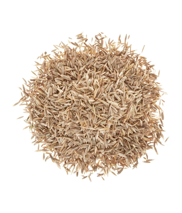 Wolf-Garten Wolf Premium-Rasen Supra 2 Wolf-Garten Wolf Premium-Rasen Supra – Bild 2