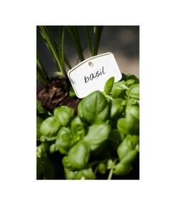 Elho Pflanz-Stift, 5 Stück -Gartenladen Im Freien 3266806 MO FS 001 PflanzstiftMweissElhoEtikett