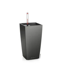 LECHUZA® MAXI/MINI-CUBI, All-in-One-Set