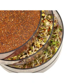 Dehner Sprossenhaus, 4 Schalen -Gartenladen Im Freien 3677101 WE MO 002 DehnerSprossenhausKeimsprossen