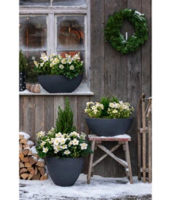 Dehner Kunststoff-Schale Miami, Rund, Anthrazit, Ca. Ø52/H20 Cm -Gartenladen Im Freien 3694254 3693926 WE MO 001 KunststoffTopfStonekonischanthrazit