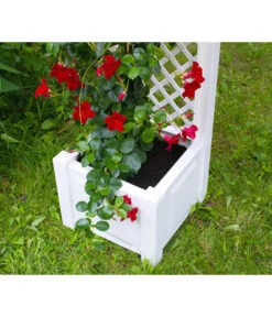 KHW Kunststoff-Pflanzkasten Mit Spalier, 43 X 43 X 140 Cm -Gartenladen Im Freien 3913688 WE DE 004 KastenSpalier43weiss