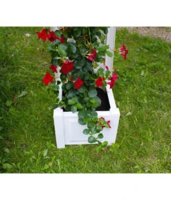 KHW Kunststoff-Pflanzkasten Mit Spalier, 43 X 43 X 140 Cm -Gartenladen Im Freien 3913688 WE DE 005 KastenSpalier43weiss