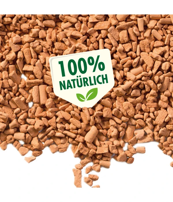 Seramis Pflanz-Granulat Für Zimmerpflanzen 2 Seramis Pflanz-Granulat Für Zimmerpflanzen – Bild 2