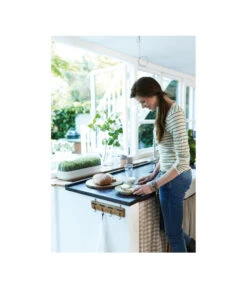 Elho Anzuchthaube L -Gartenladen Im Freien 4026704 WE MO 001 AnzuchthausLTransparentElho