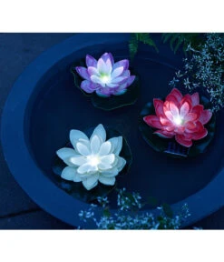 Dehner Kunststoff-Schale Miami, Rund, Anthrazit, Ca. Ø52/H20 Cm -Gartenladen Im Freien 4032041 4032108 4032116 WE MO 001 DehnerSolarSeerosen