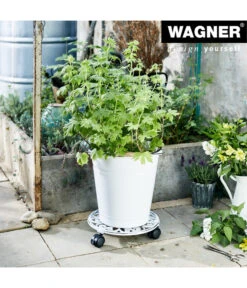 Wagner Pflanzenroller Antik, Ø 29 Cm, Weiß -Gartenladen Im Freien 4272506 WE MO 001 PflRollerAntikD29CM
