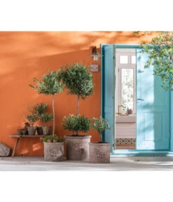 Dehner Terrakotta-Topf, Terrakotta-antik -Gartenladen Im Freien 4273751 4273777 4273785 WE MO 002 TerrakottaTopf