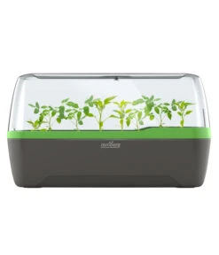 Romberg BoQube Gewächshaus -Gartenladen Im Freien 4299970 WE FS 005 RombergGewaechshausZimmergewaechshausAnzucht