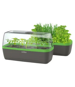 Romberg BoQube Gewächshaus -Gartenladen Im Freien 4299970 WE FS 006 BoQubeGewaechshausZimmergewaechshaus