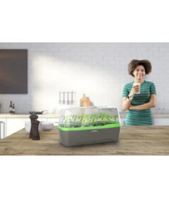 Romberg BoQube Gewächshaus -Gartenladen Im Freien 4299970 WE MO 001 RombergGewaechshausZimmergewaechshausAnzucht