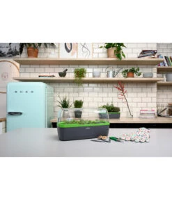 Romberg BoQube Gewächshaus -Gartenladen Im Freien 4299970 WE MO 002 BoQubeGewaechshausZimmergewaechshaus