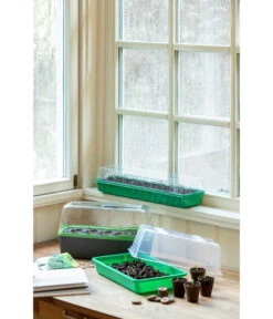 Romberg Zimmergewächshaus -Gartenladen Im Freien 4299970 WE MO 004 BoQubeZimmergewaechshaus