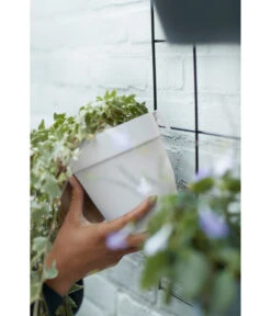 Elho Metall-Wandgitter Für Töpfe Loft Urban Green Wall Gestell, Ca. B47,3/H59/T1,5 Cm, Schwarz 32 Elho Metall-Wandgitter Für Töpfe Loft Urban Green Wall Gestell, Ca. B47,3/H59/T1,5 Cm, Schwarz -Gartenladen Im Freien 4315917 4315677 WE MO 002 elhoMetallWandgitterWandhaengetopf