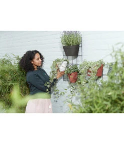 Elho Metall-Wandgitter Für Töpfe Loft Urban Green Wall Gestell, Ca. B47,3/H59/T1,5 Cm, Schwarz 22 Elho Metall-Wandgitter Für Töpfe Loft Urban Green Wall Gestell, Ca. B47,3/H59/T1,5 Cm, Schwarz -Gartenladen Im Freien 4315917 WE MO 003 elhoMetallWandgitterfuerToepfeBlumentopfurbangardening