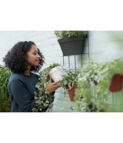 Elho Metall-Wandgitter Für Töpfe Loft Urban Green Wall Gestell, Ca. B47,3/H59/T1,5 Cm, Schwarz 23 Elho Metall-Wandgitter Für Töpfe Loft Urban Green Wall Gestell, Ca. B47,3/H59/T1,5 Cm, Schwarz -Gartenladen Im Freien 4315917 WE MO 005 elhoMetallWandgitterfuerToepfeBlumentopfurbangardening