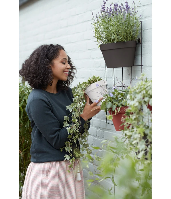Elho Metall-Wandgitter Für Töpfe Loft Urban Green Wall Gestell, Ca. B47,3/H59/T1,5 Cm, Schwarz 10 Elho Metall-Wandgitter Für Töpfe Loft Urban Green Wall Gestell, Ca. B47,3/H59/T1,5 Cm, Schwarz – Bild 10