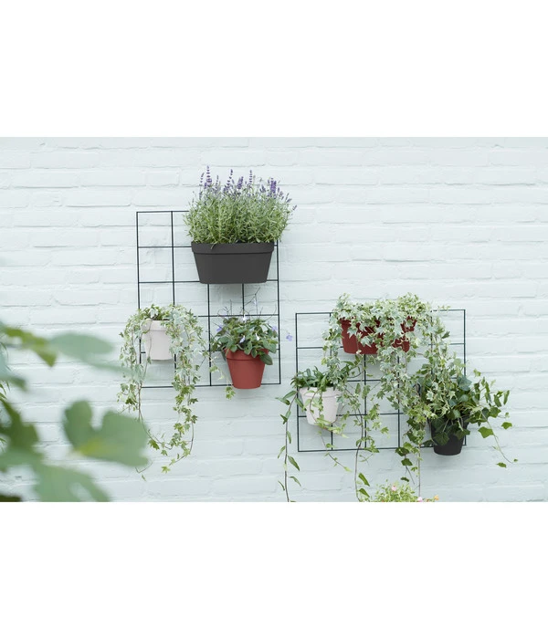 Elho Metall-Wandgitter Für Töpfe Loft Urban Green Wall Gestell, Ca. B47,3/H59/T1,5 Cm, Schwarz 11 Elho Metall-Wandgitter Für Töpfe Loft Urban Green Wall Gestell, Ca. B47,3/H59/T1,5 Cm, Schwarz – Bild 11