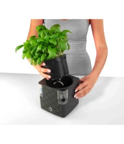 Dehner Kunststoff-Topf Mona, Eckig, Ca. B14/H14/T14 Cm -Gartenladen Im Freien 4320743 PR FS 002 KunststoffTopfMonaGrau