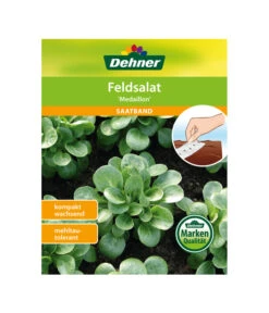 Dehner Samen-Set Easy Going 22 Dehner Samen-Set Easy Going -Gartenladen Im Freien 4322590 WE FS 005 DehnerSamenSaatgutSaemereienSetEasyGoing