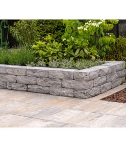 Diephaus Terrassenplatte Atrio, Ca. B100/H5/T50 Cm -Gartenladen Im Freien 4384566 WE MO 002 DiephausTerrassenplatteATRIOMUSCHELKALK