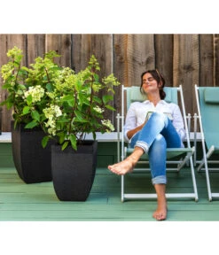 Dehner Strandstuhl Aruba -Gartenladen Im Freien 4418422 WE MO 002 StrandstuhlArubaNeu