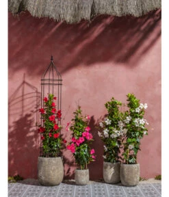 Dehner Keramik-Topf Bungxe, Meliert 6 Dehner Keramik-Topf Bungxe, Meliert -Gartenladen Im Freien 4435640 4435665 4435673 WE MO 004 DehnerKeramikTopfBungxe