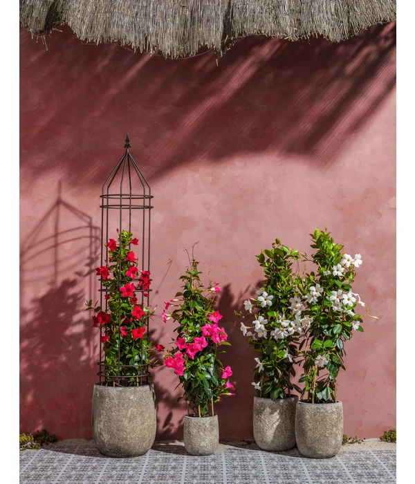 Dehner Keramik-Topf Bungxe, Meliert 3 Dehner Keramik-Topf Bungxe, Meliert – Bild 3