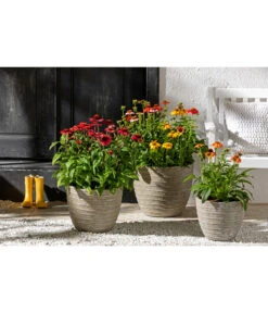 Dehner Leichtbeton-Topf Prunus, Graubraun -Gartenladen Im Freien 4440772 WE MO 001 DehnerLeichtbetonTopfPrunus