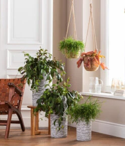 Dehner Seegras-Ampel Igmar -Gartenladen Im Freien 4484705 WE MO 001 AmpelvaseToni 4484713 6759393