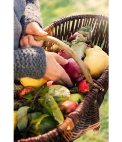 Dehner Weidenkorb Mit Bügel, Ca. B55/H27/T34 Cm -Gartenladen Im Freien 482976 WE DE 001 WeidenkorbMitBuegel