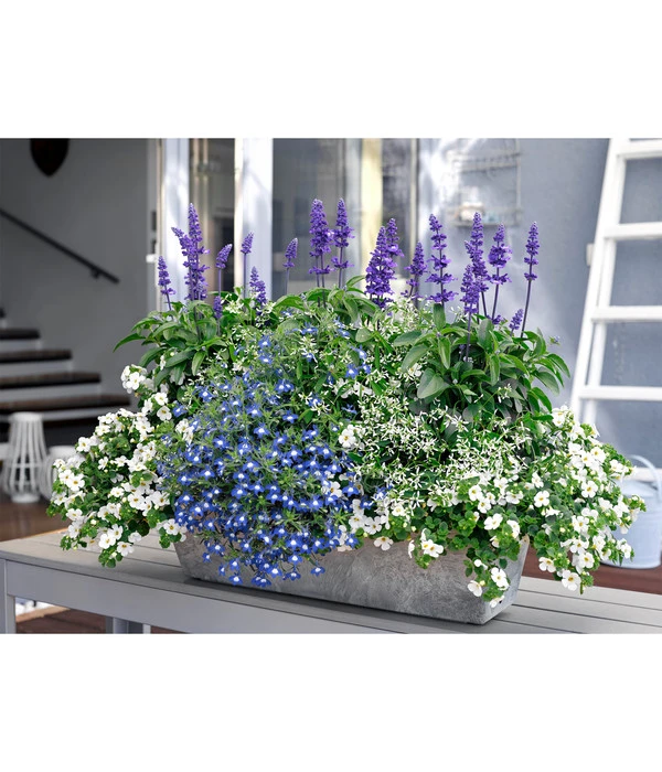 Artstone Kunststoff Blumenkasten Ella 2 Artstone Kunststoff Blumenkasten Ella – Bild 2