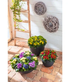 Dehner Kunststoff-Schale Miami, Rund, Anthrazit, Ca. Ø52/H20 Cm -Gartenladen Im Freien 5181383 WE MO 009 KunststoffSchaleanthrazit