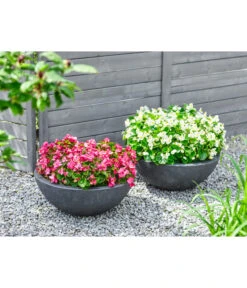 Dehner Kunststoff-Schale Miami, Rund, Anthrazit, Ca. Ø52/H20 Cm -Gartenladen Im Freien 5181383 WE MO 010 KunststoffSchaleanthrazit