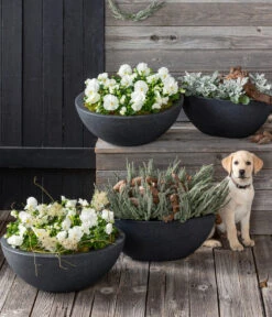 Dehner Kunststoff-Schale Miami, Rund, Anthrazit, Ca. Ø52/H20 Cm -Gartenladen Im Freien 5181409 8808008 8829541 WE MO 001 WinterbluehenBL192021