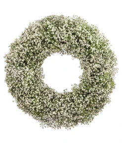 Dehner Kranz Schleierkraut, Weiß, Ca. Ø36 Cm