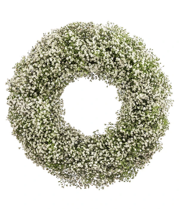 Dehner Kranz Schleierkraut, Weiß, Ca. Ø36 Cm 1 Dehner Kranz Schleierkraut, Weiß, Ca. Ø36 Cm