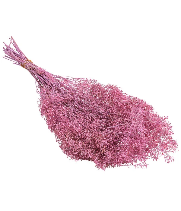 Trockenblumenbund Lupidium, Hellrosa 1 Trockenblumenbund Lupidium, Hellrosa