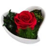 Dehner Herzschale Mit Longlife-Rose Lena, Ca. B12/H8 Cm