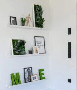 StyleGREEN Bild Im Dschungeldesign, Rechteckig, Ca. B57/H27/T16 Cm -Gartenladen Im Freien 6429930 WE MO 002 Pflanzenbild57x27cmStylegreen