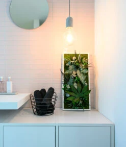 StyleGREEN Bild Im Dschungeldesign, Rechteckig, Ca. B57/H27/T16 Cm -Gartenladen Im Freien 6429930 WE MO 003 Pflanzenbild57x27cmStylegreen