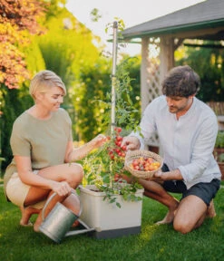 Gusta Garden Tomatentopf Tom Tomato, Ca. B35/H135/T28 Cm -Gartenladen Im Freien 6627053 WE MO 001 TomTomatoTomatenanbau