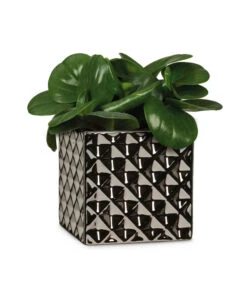 Scheurich Keramik-Übertopf Titanium, Quadratisch, Silber -Gartenladen Im Freien 6642060 WE FS 003 TopfTataniumSilber