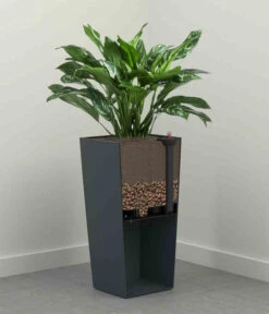 Siena Garden Kunststoff-Säule ECO Nizza, Konisch, Ca. B35/H68/T35 Cm 11 Siena Garden Kunststoff-Säule ECO Nizza, Konisch, Ca. B35/H68/T35 Cm -Gartenladen Im Freien 6655401 WE DE 002 PflanzgefaessNizza35Weiss