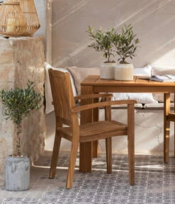 Olive, Stamm, In Keramik, Ca. Ø17/H90 Cm 8 Olive, Stamm, In Keramik, Ca. Ø17/H90 Cm -Gartenladen Im Freien 6657415 WE MO 002 GruppeHavanna