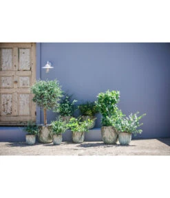 Dehner Keramik-Topf Rombus -Gartenladen Im Freien 6703276 6703284 6703292 6703300 WE MO 002 DehnerKeramikTopfRombus