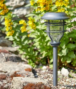 Smart Garden Pfahlleuchte Capri, Ca. B14/H48,5/T14 Cm -Gartenladen Im Freien 6758379 WE MO 001 DehnerSolarPfahlleuchteCapri